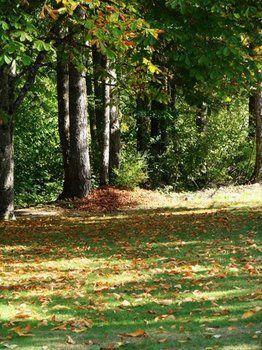 Cabins And Campground At Cultus Lake Park Hotel ชิลลิแวค ภายนอก รูปภาพ